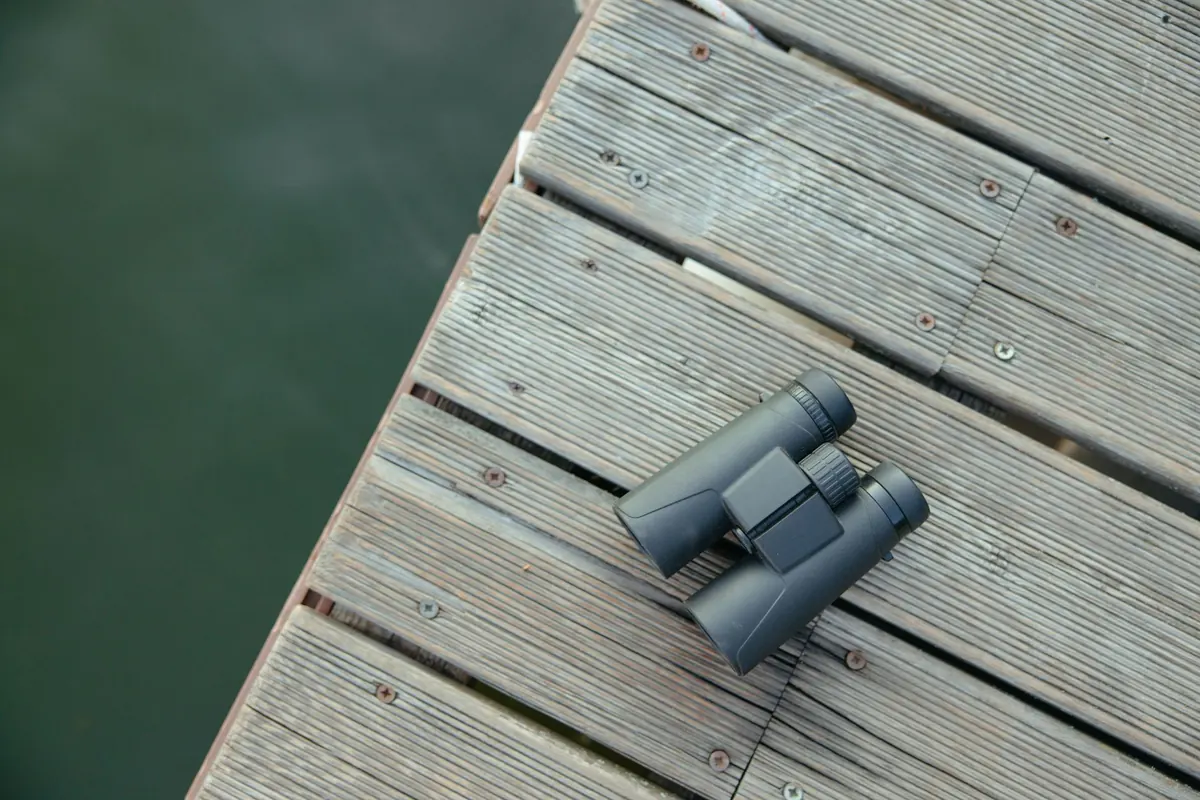 10 Common Birdwatching Mistakes Beginners Make (and How to Avoid Them)